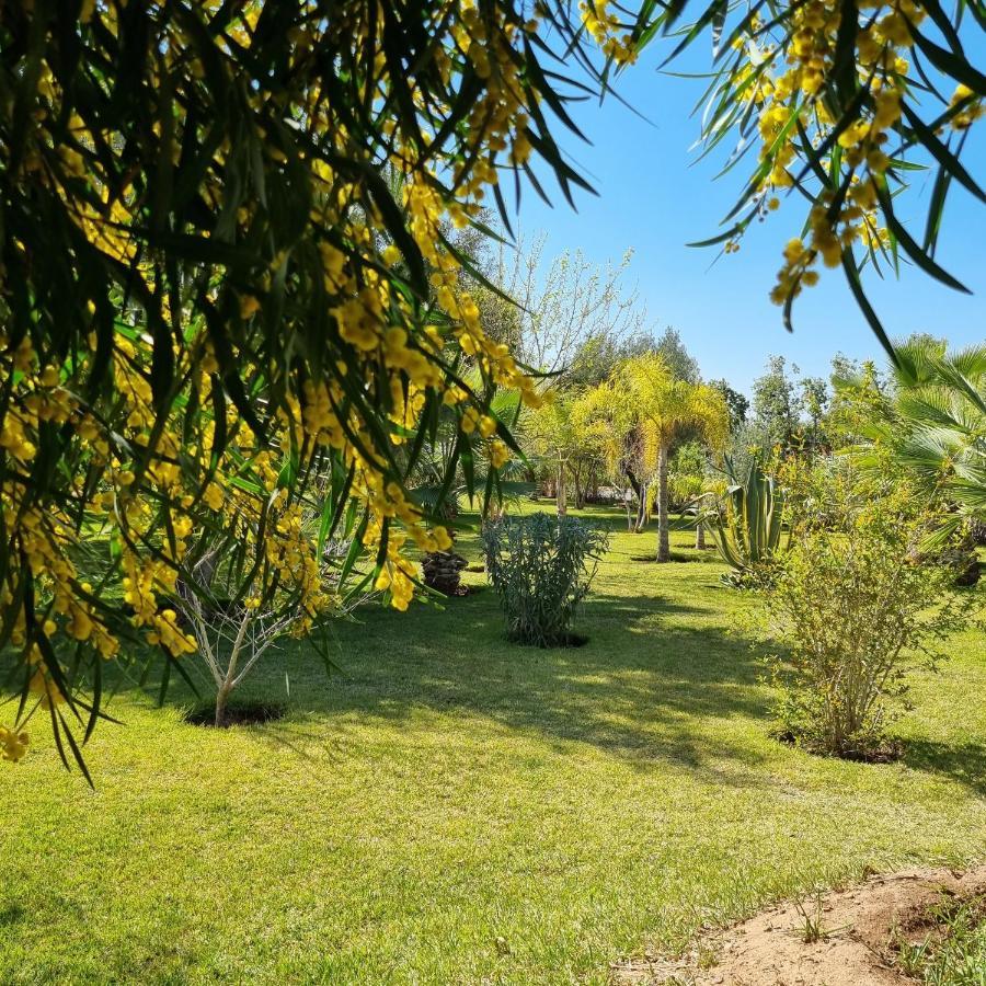 Riad Les Deux Citronniers مراكش المظهر الخارجي الصورة