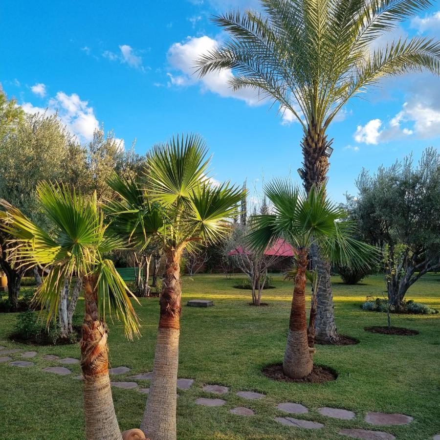 Riad Les Deux Citronniers مراكش المظهر الخارجي الصورة