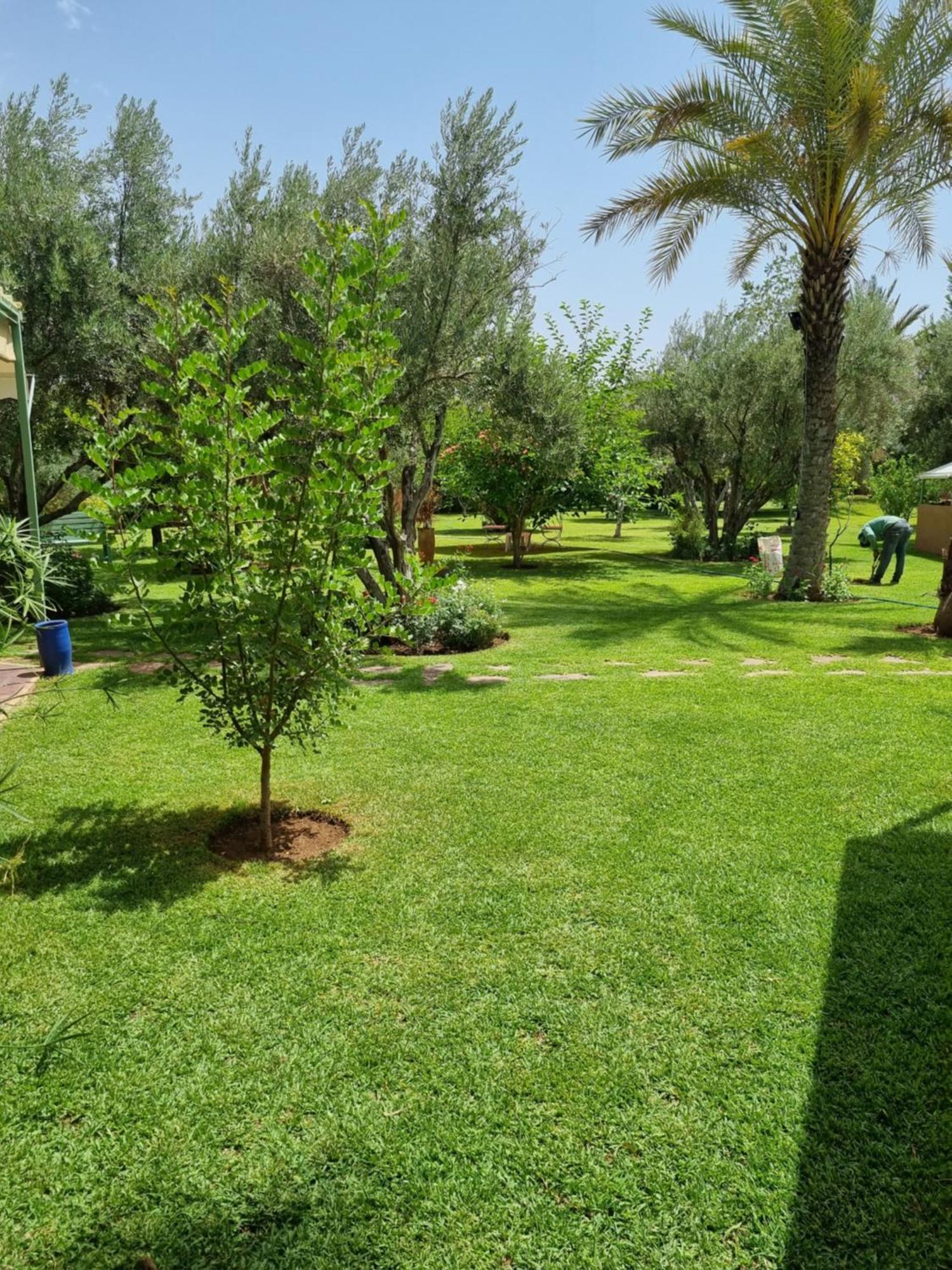 Riad Les Deux Citronniers مراكش الغرفة الصورة